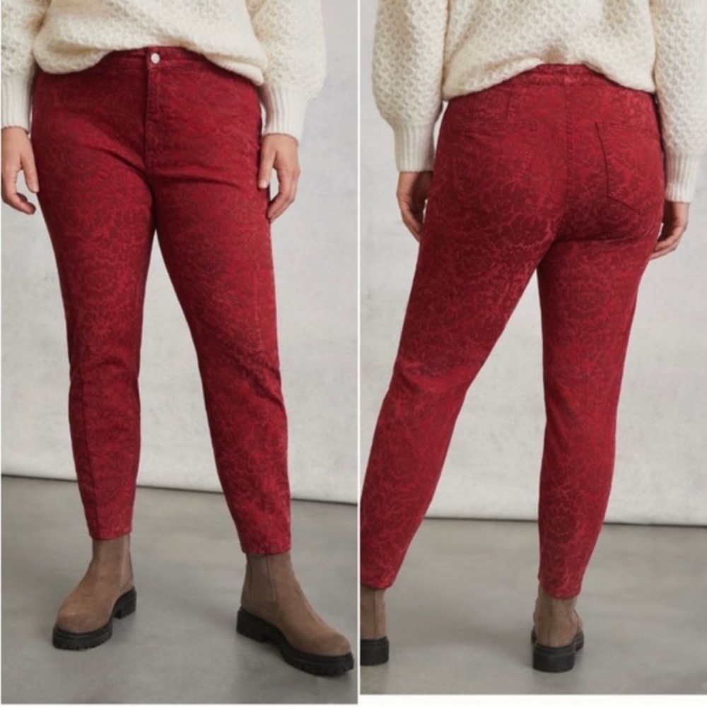 NWT Anthropology plus PILCRO FLOCKED  20w